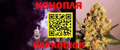 гидропоника Моздок