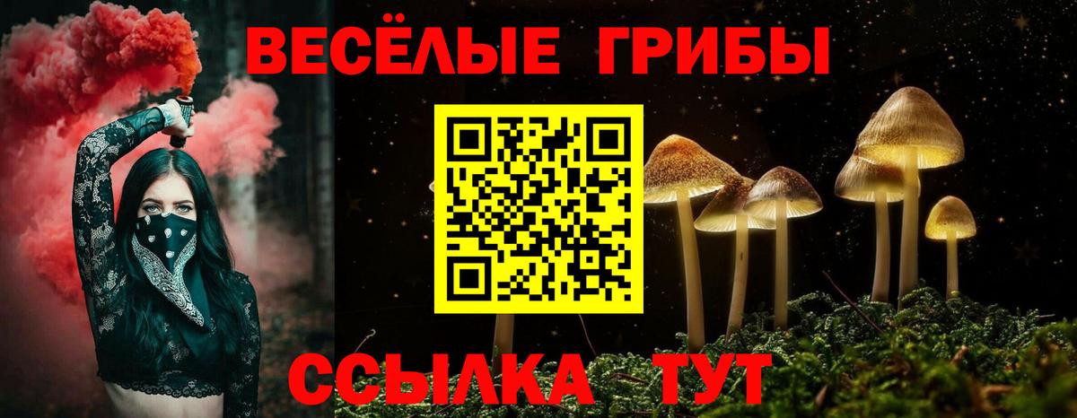 Галлюциногенные грибы прущие грибы Евпатория